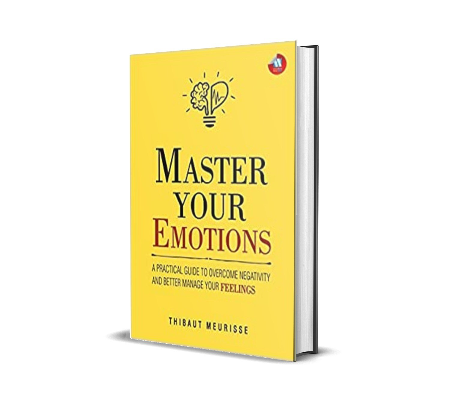 Master Your Emotions by Thibaut Meurisse